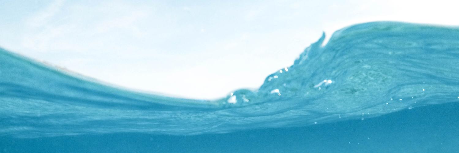 Idobrotinich's profile banner image