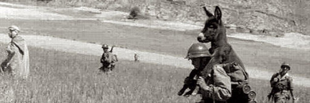mściwy drukarz banner
