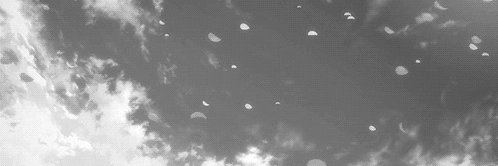 ellena banner
