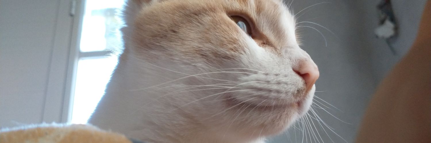 Sool335's profile banner image