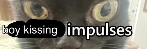 Wamflebucket's profile banner image