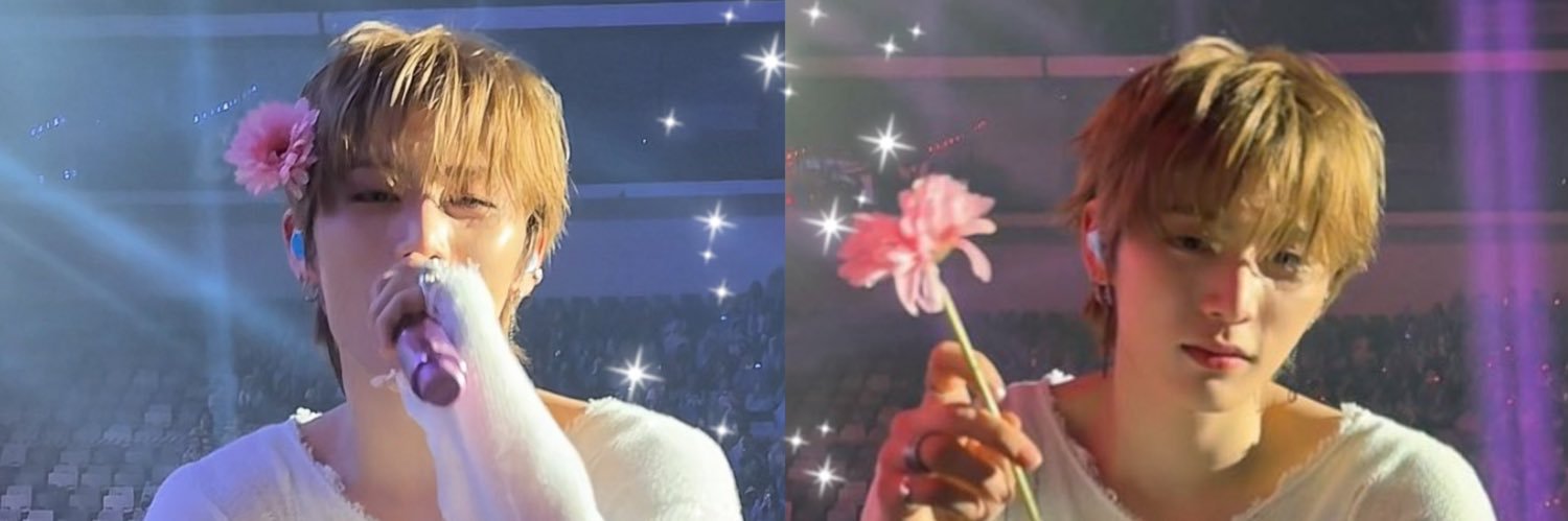 Puinoon 🌸✨ banner