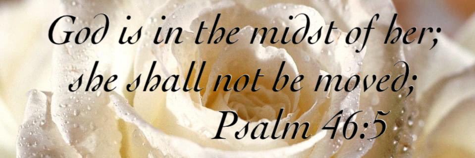 MisAmy_'s profile banner image