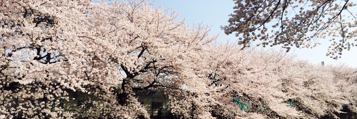 sanuki0327's profile banner image