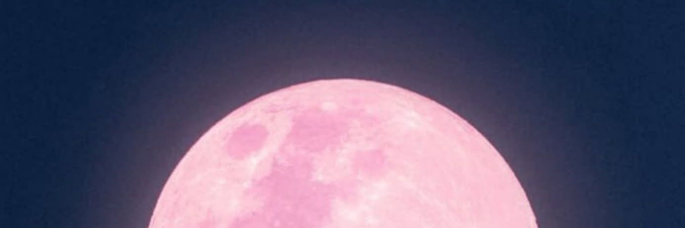 🍉 banner