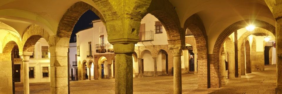 segedano63's profile banner image