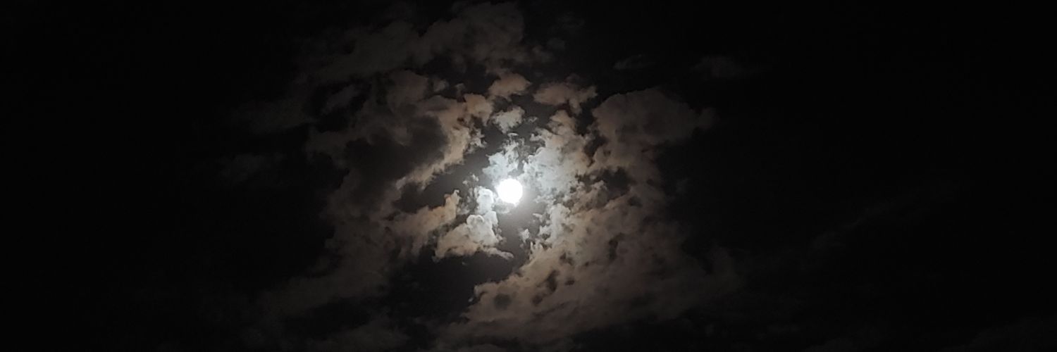 Stefan_Neib's profile banner image