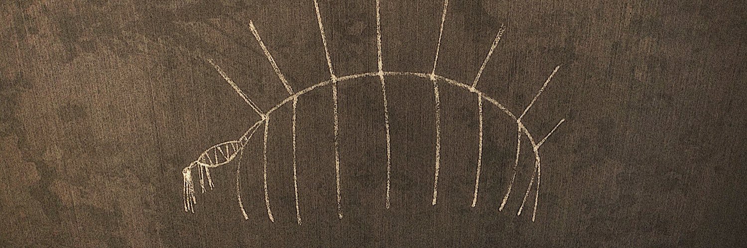 CINz banner