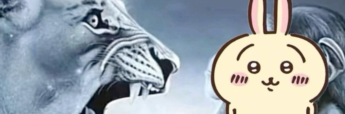 polar3tti's profile banner image