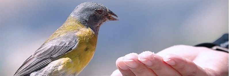 ☪فـشكول☪ banner