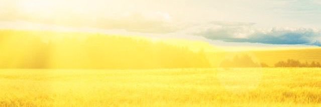 虹彩's banner