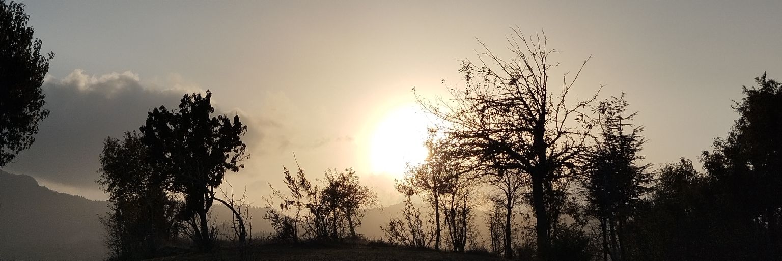 meessiüü banner