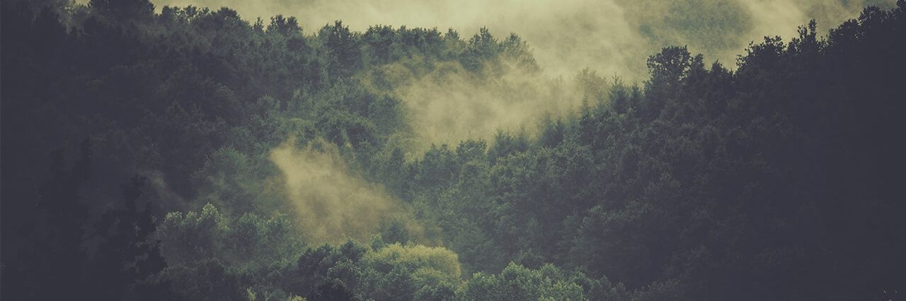 GeR_Picks banner