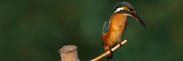 GodgiveMart Profile Banner
