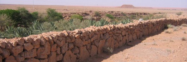 rayed Profile Banner