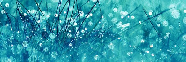 Izetta189 Profile Banner