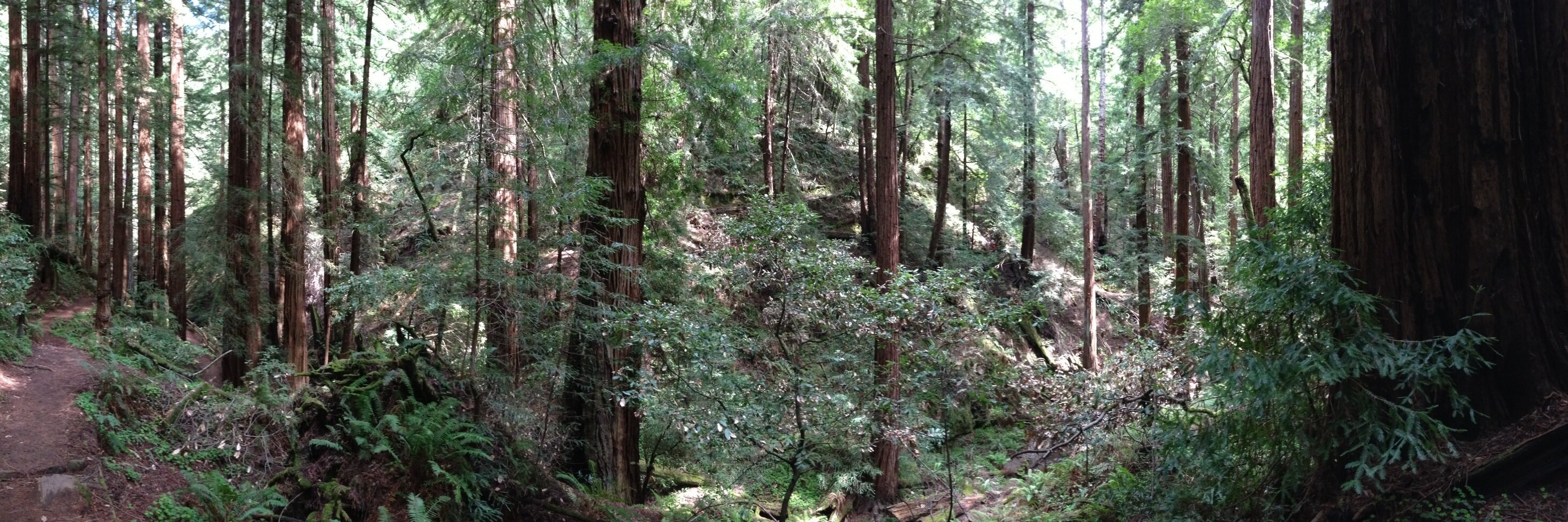 valerio 🇪🇺 🇺🇸 🏳️‍🌈 🍉 banner