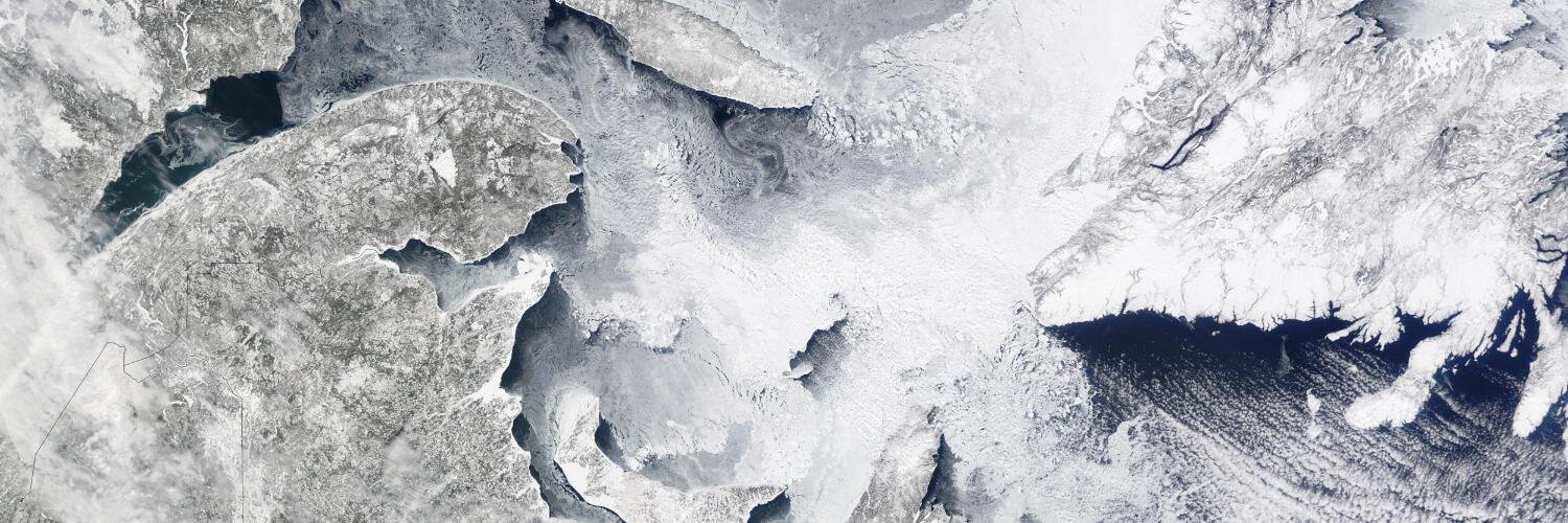 Robert Carnell banner