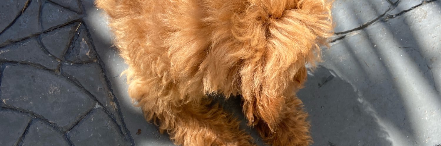 nutellamae🐝.🐻⛓️ banner