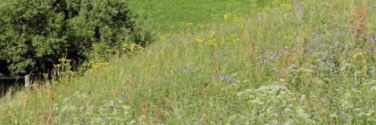 babysdyu's profile banner image