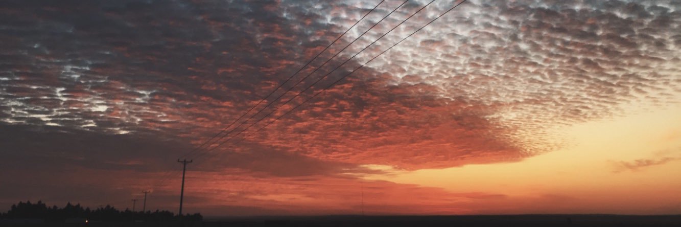 محمد الفرحان banner
