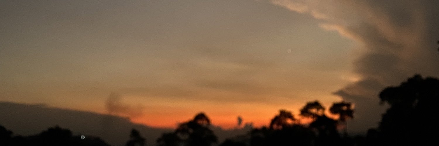 HansCon9711's profile banner image