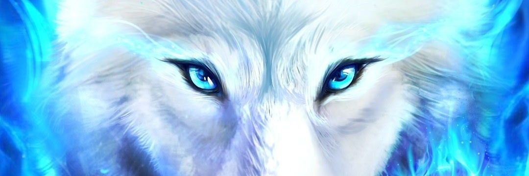 show_times's profile banner image
