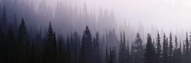 - banner