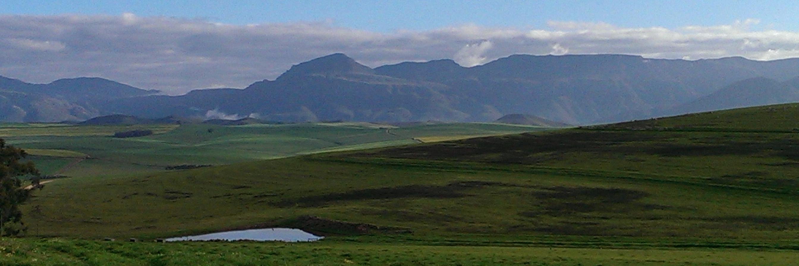 Bridget Lloyd banner