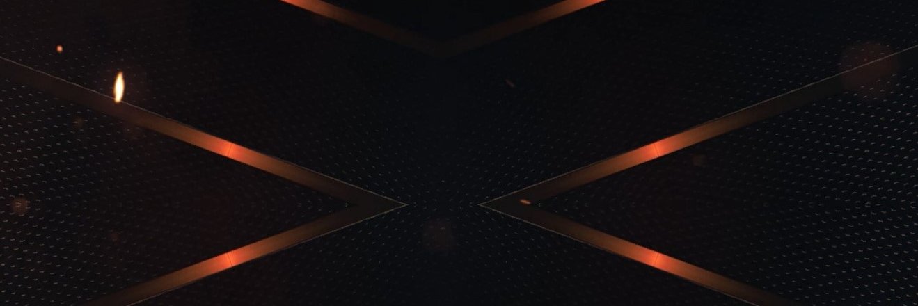 LPinkus96's profile banner image
