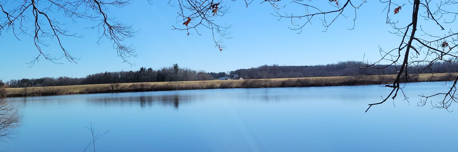 WinslowsONLYHope banner