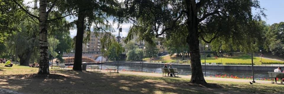 KateSuominen's profile banner image