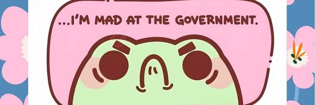 Angry Citizen's banner