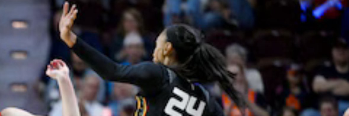 no_defender2025 banner