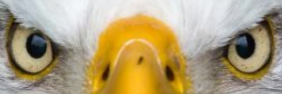 Gprosperous's profile banner image