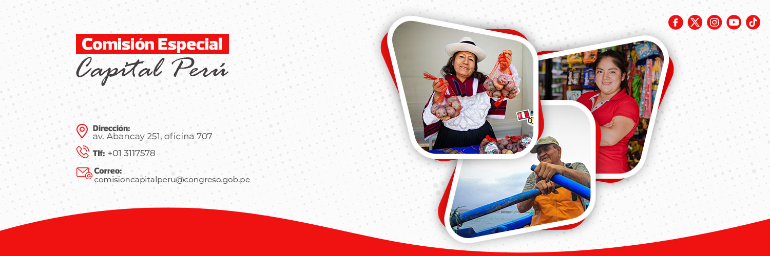 Comisión Especial Multipartidaria Capital Perú banner