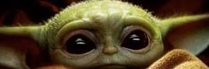 thepolicyhoe's profile banner image