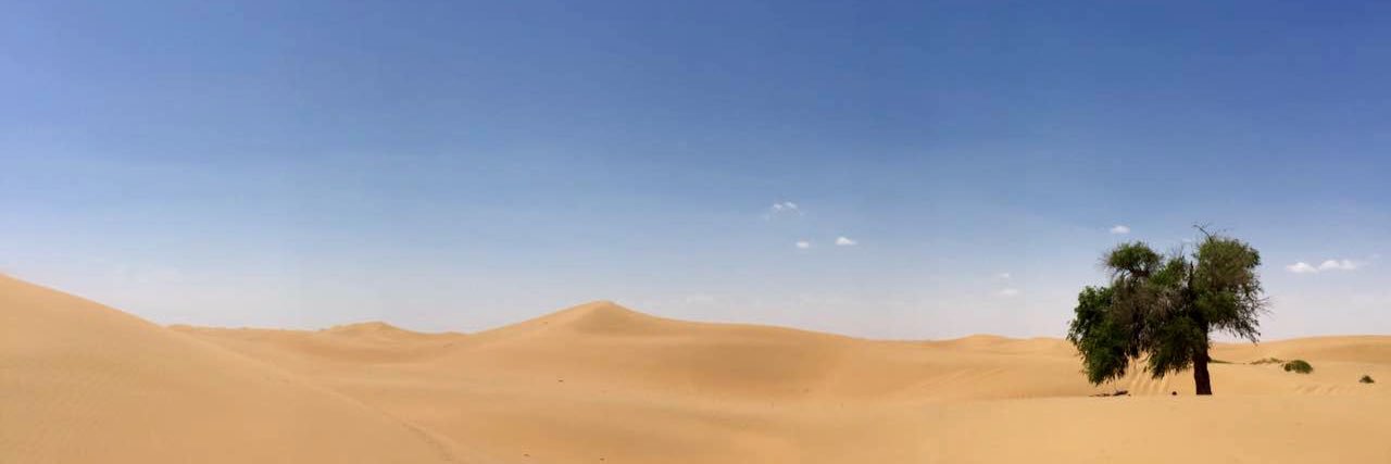KellyMai's profile banner image