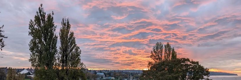 LouLightHeart banner