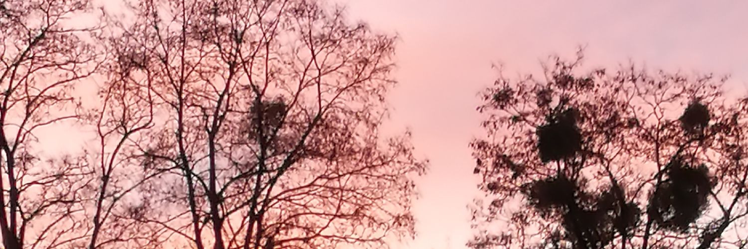 Netty banner