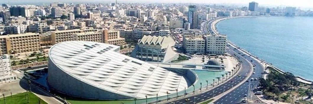 Elsayed M. Hammad banner