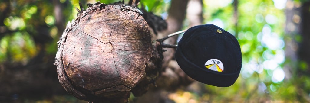BeenFlyySky's profile banner image
