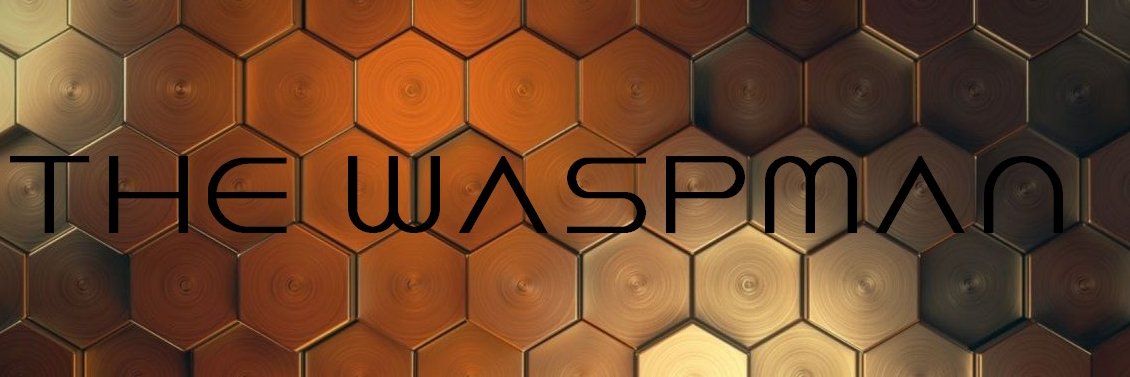 WaspMan17's profile banner image