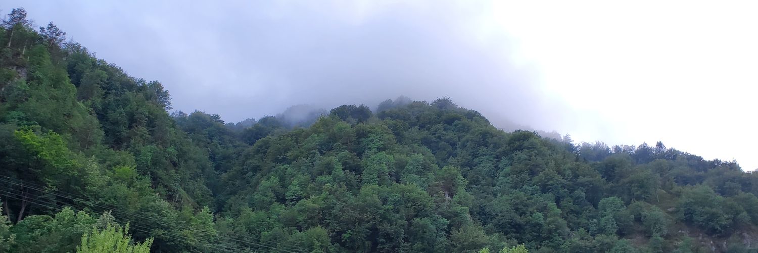 LiebermanGala's profile banner image