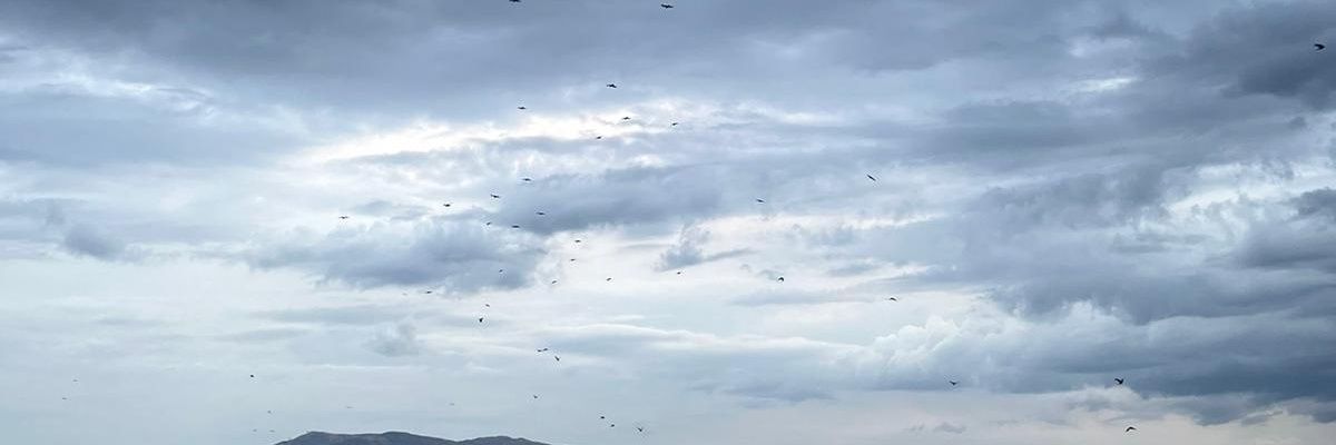 aysberryy's profile banner image