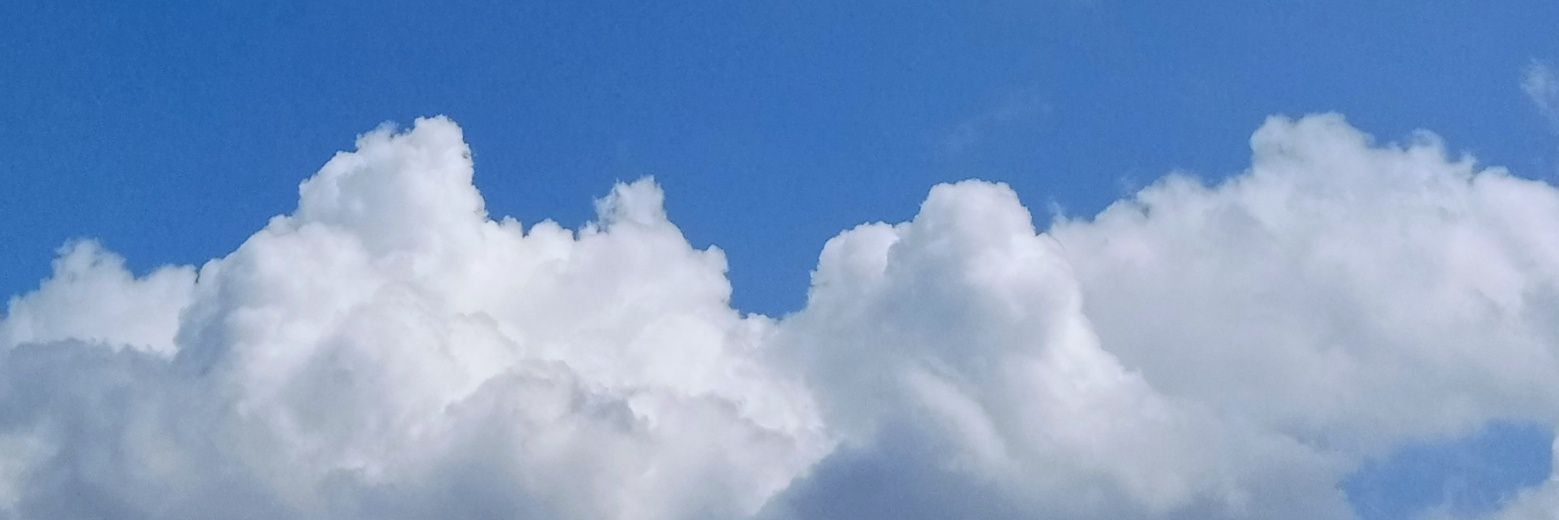 anitakarli's profile banner image