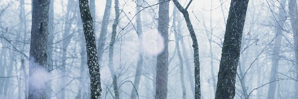 Sebastian Hielm banner