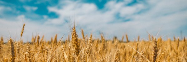 DutchFarmerInUA Profile Banner