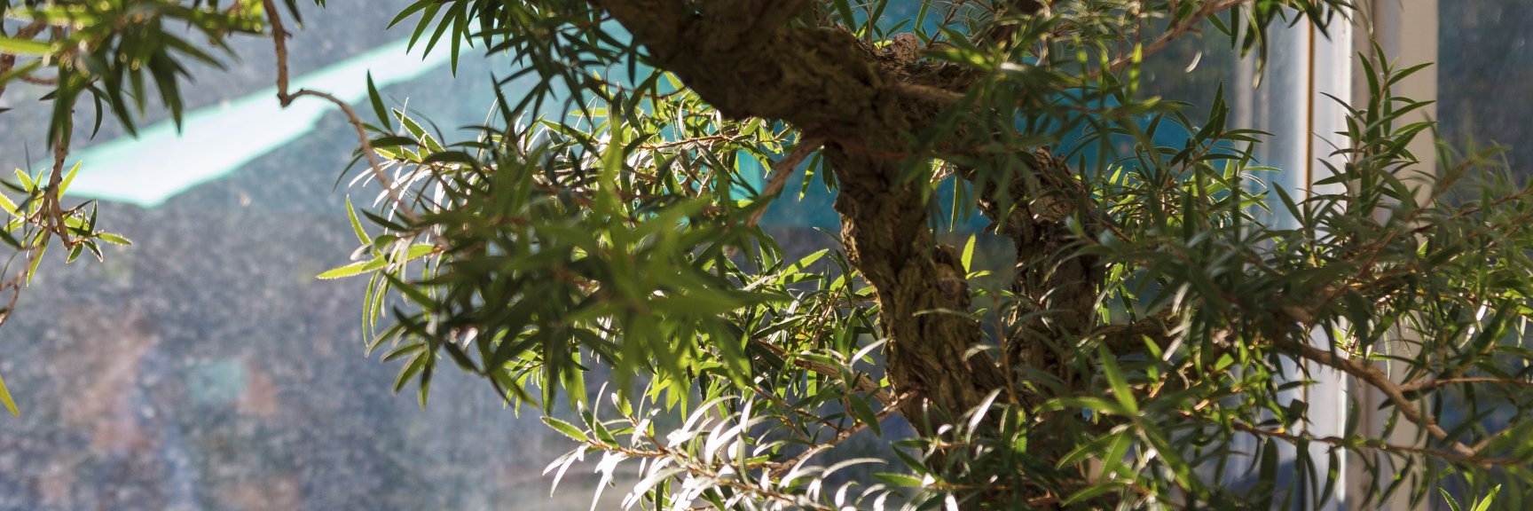 WhileRomeBurns's profile banner image