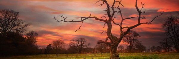 David__Dales Profile Banner